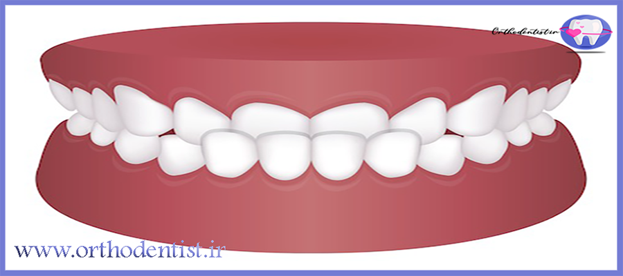 کراس بایت چیست
